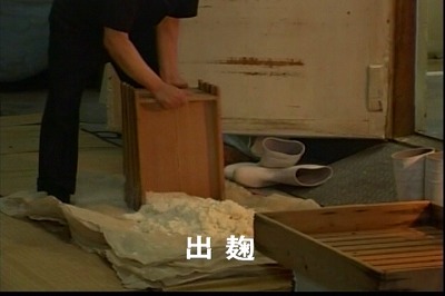 出麹