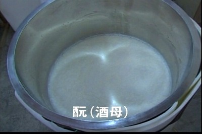 酒母