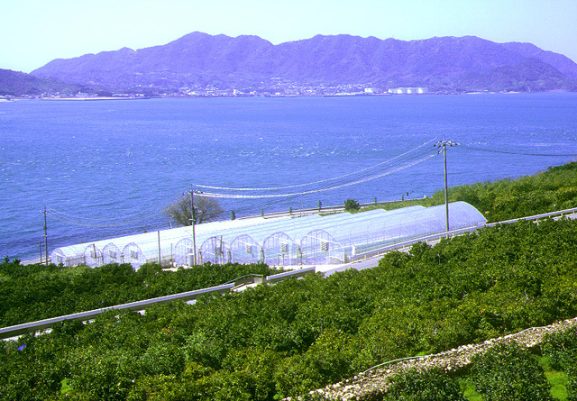 瀬戸内海