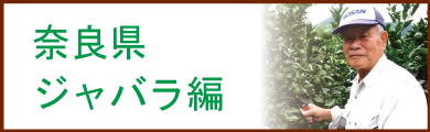 産地訪問レポート　奈良県　ジャバラ