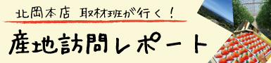 産地訪問レポート