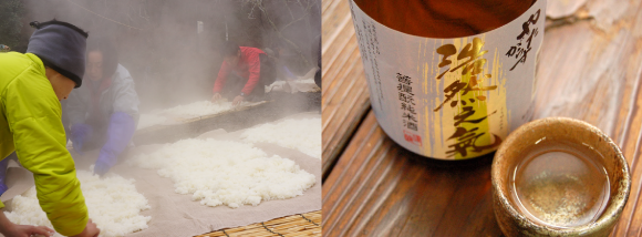 やたがらす　菩提酛純米　浩然の気