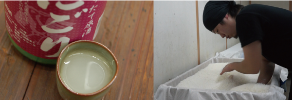 やたがらす　新酒　にごり