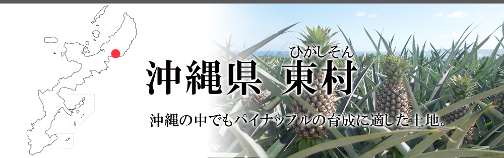 沖縄県東村