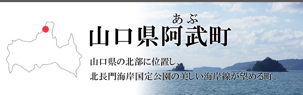 山口県阿武町