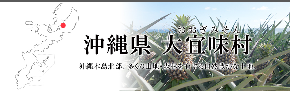 沖縄県東村