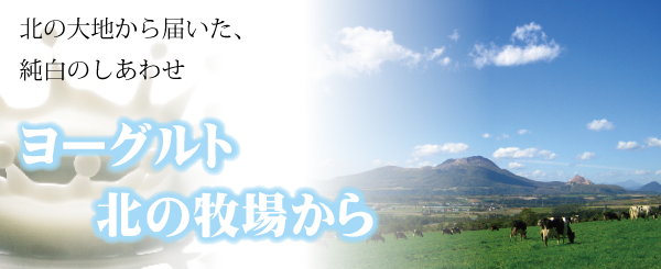 北岡本店 やたがらす ヨーグルト 北の牧場