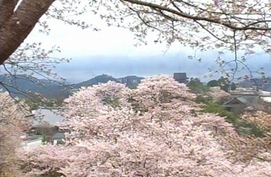 吉野山