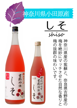 しそ